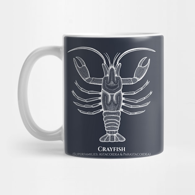 Crayfish with Common and Latin Names - detailed animal design by Green Paladin